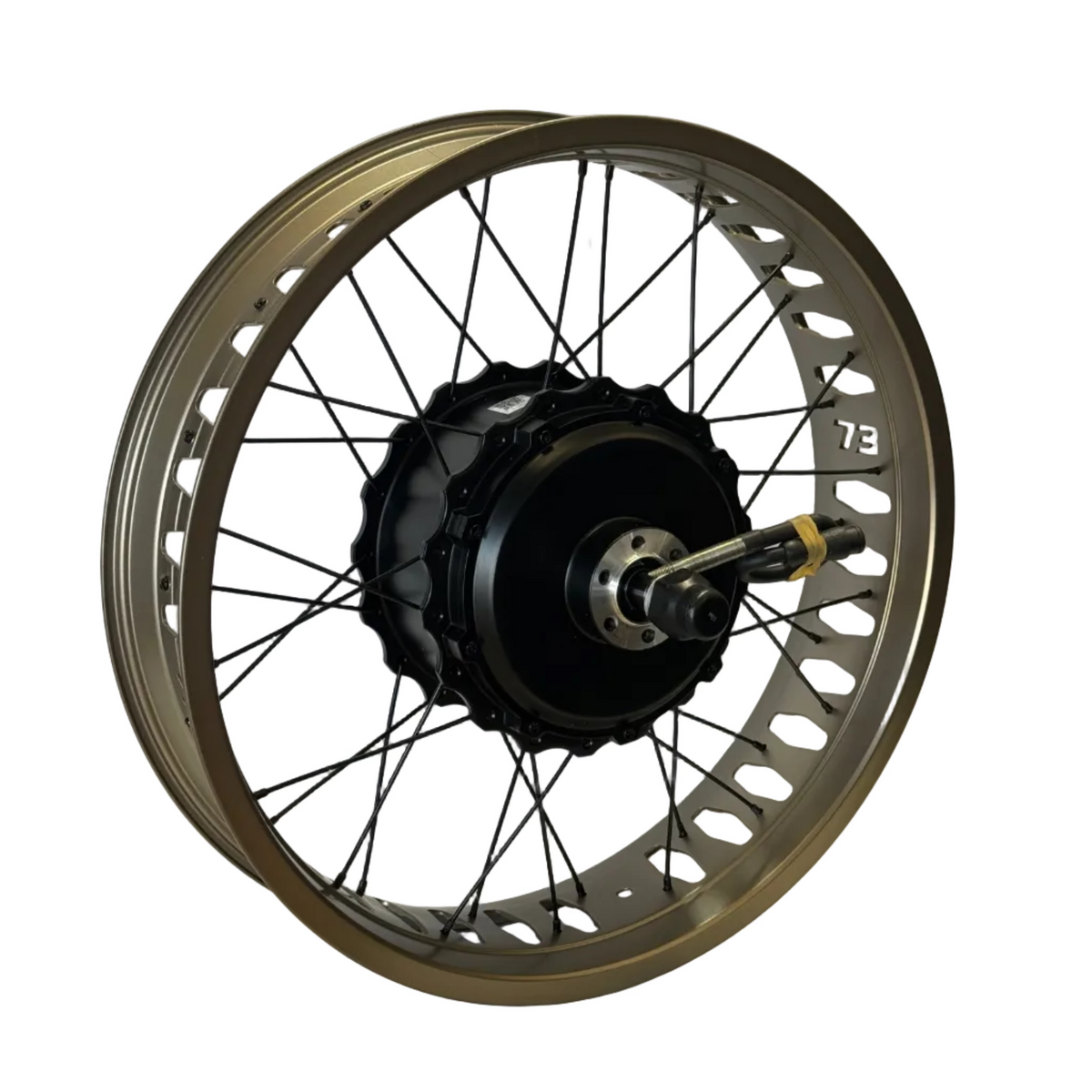 Bronze rear hub motor and wheel for Super73 ebikes.